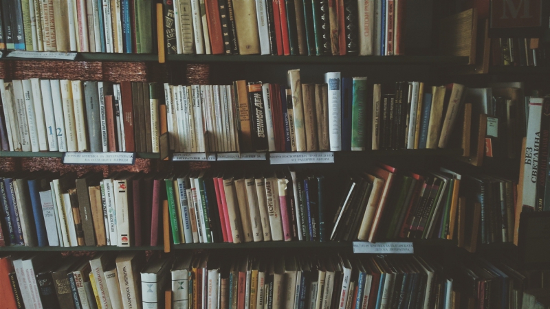 librairie-CANNES-min_bookcase-1869616