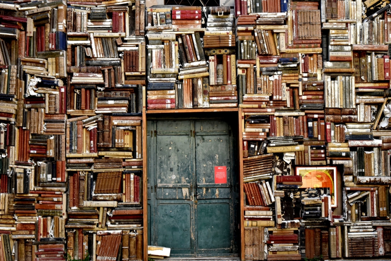 librairie-CANNES-min_books-1655783